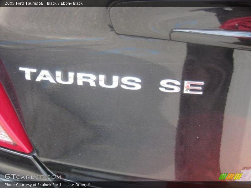 Black / Ebony Black 2005 Ford Taurus SE
