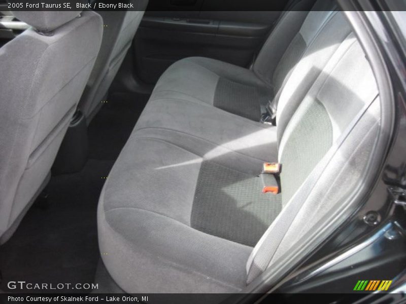 Black / Ebony Black 2005 Ford Taurus SE