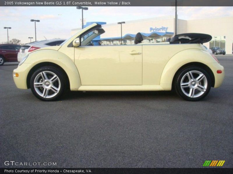 Mellow Yellow / Black 2005 Volkswagen New Beetle GLS 1.8T Convertible