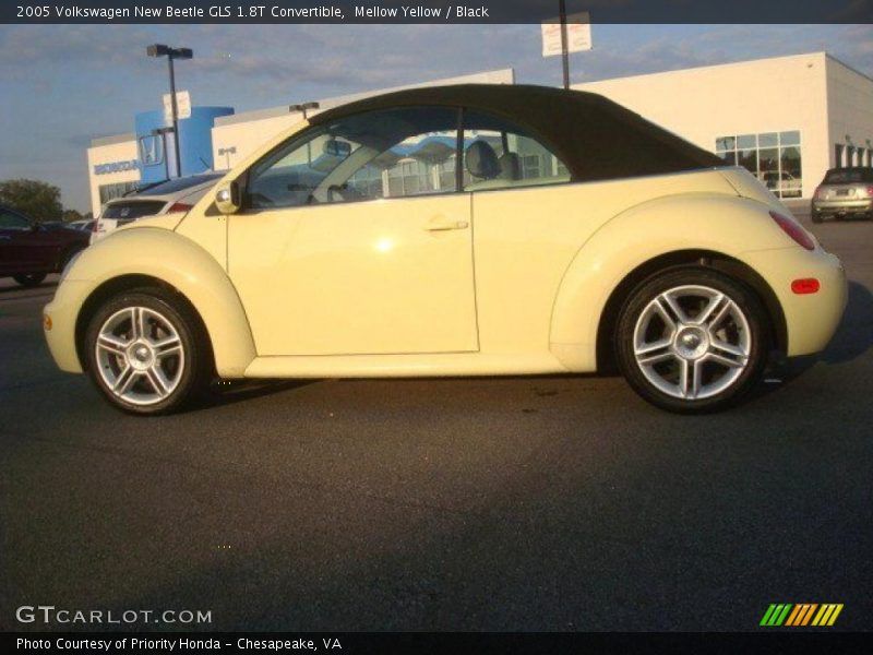 Mellow Yellow / Black 2005 Volkswagen New Beetle GLS 1.8T Convertible