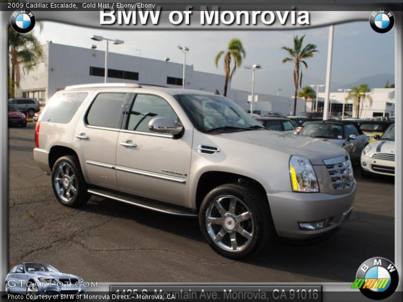 Gold Mist / Ebony/Ebony 2009 Cadillac Escalade