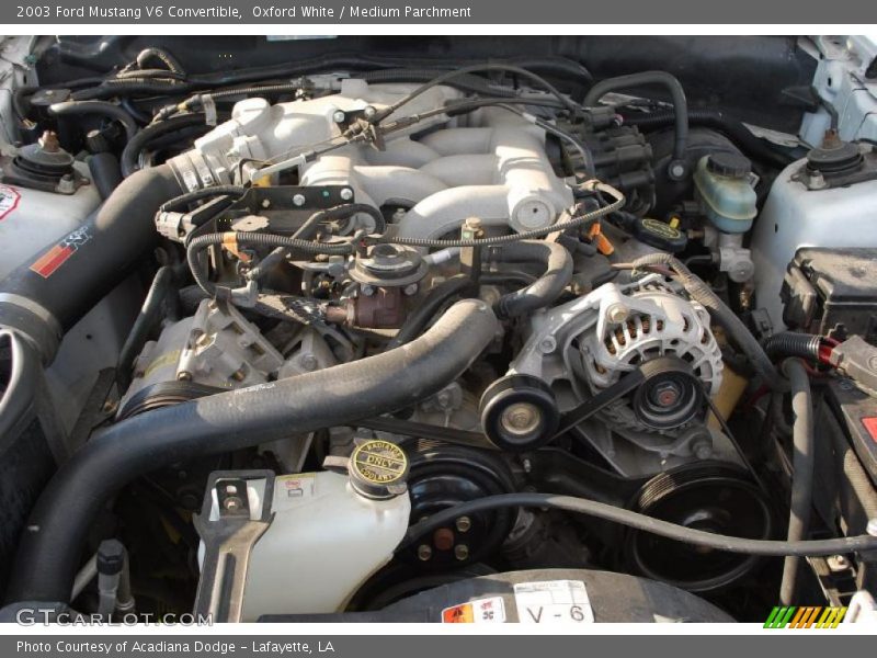 Oxford White / Medium Parchment 2003 Ford Mustang V6 Convertible