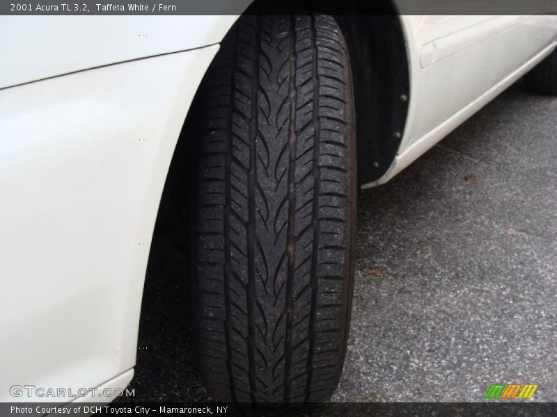 Taffeta White / Fern 2001 Acura TL 3.2