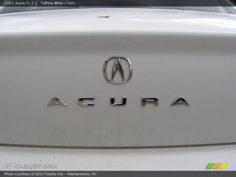 Taffeta White / Fern 2001 Acura TL 3.2