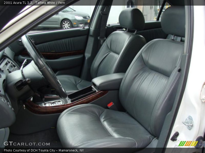  2001 TL 3.2 Fern Interior