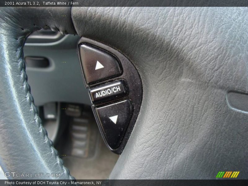 Taffeta White / Fern 2001 Acura TL 3.2