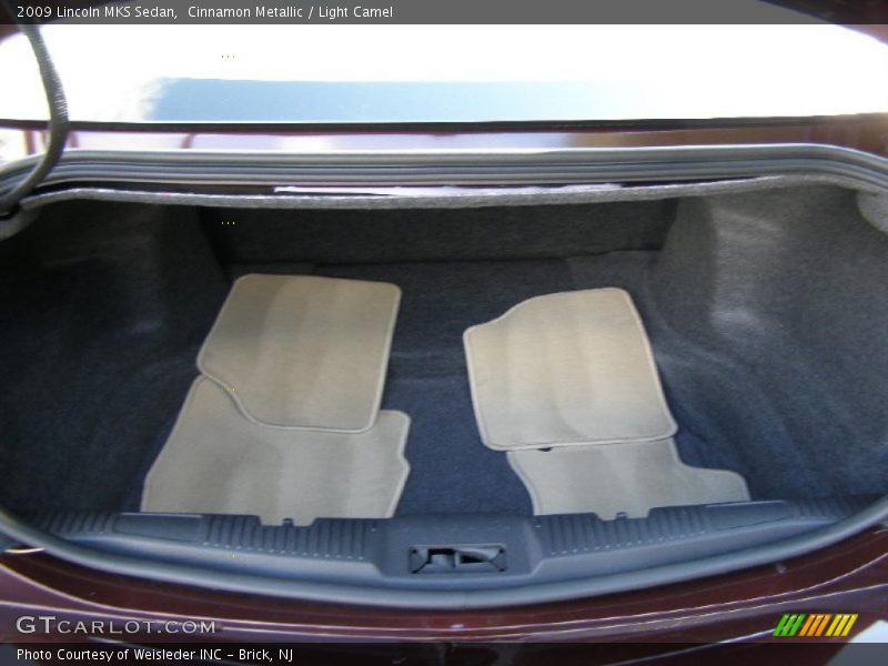 Cinnamon Metallic / Light Camel 2009 Lincoln MKS Sedan