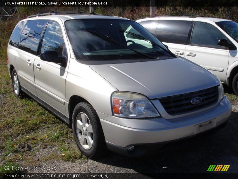 Silver Birch Metallic / Pebble Beige 2004 Ford Freestar SES