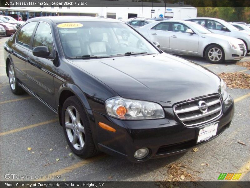 Front 3/4 View of 2003 Maxima SE