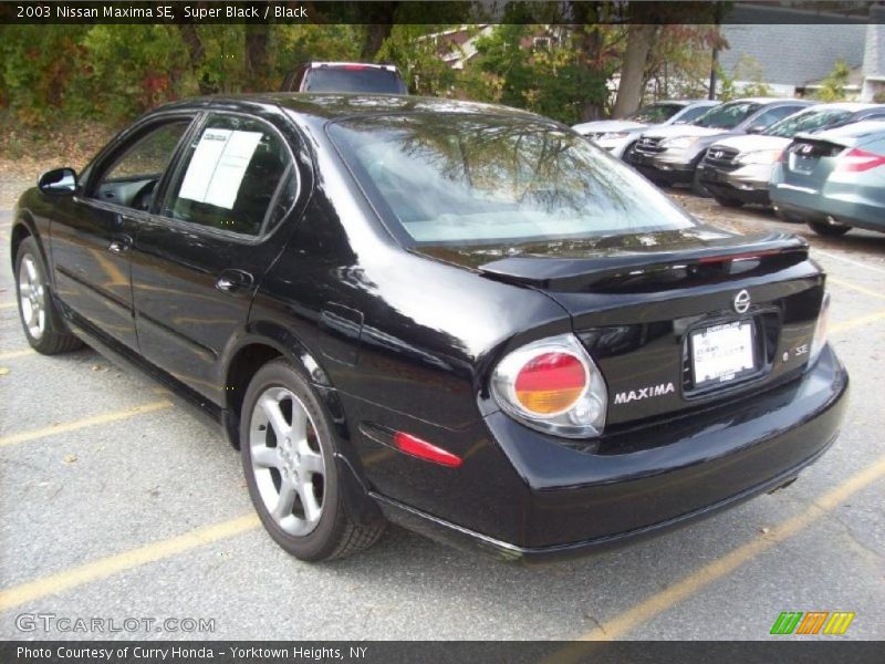 Super Black / Black 2003 Nissan Maxima SE