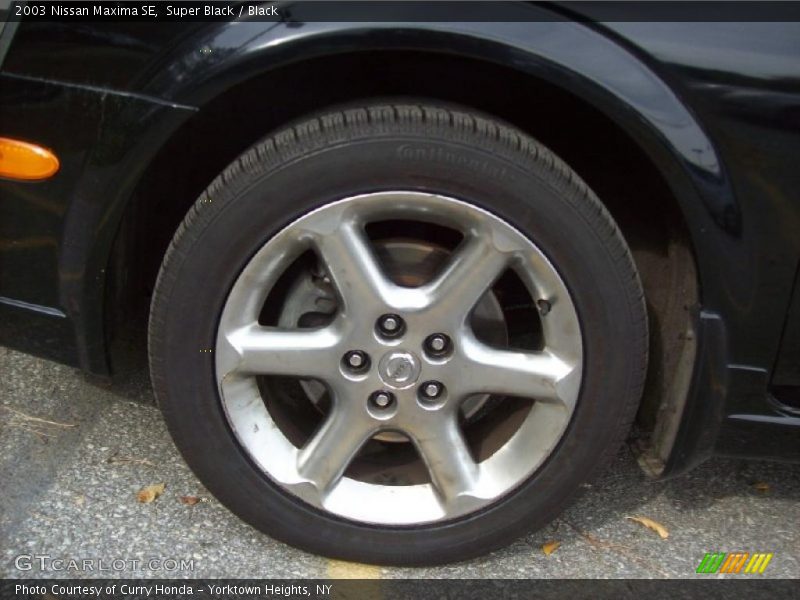  2003 Maxima SE Wheel