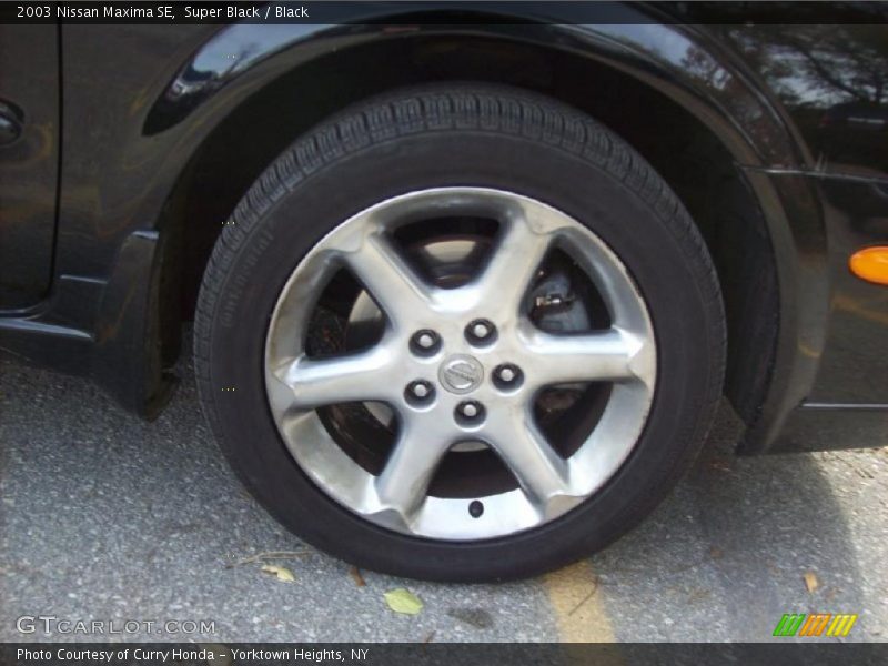 Super Black / Black 2003 Nissan Maxima SE