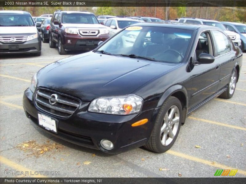Front 3/4 View of 2003 Maxima SE