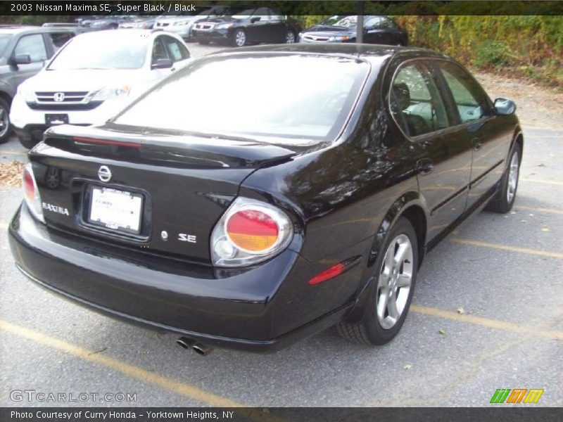 Super Black / Black 2003 Nissan Maxima SE