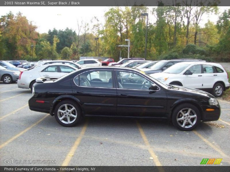 Super Black / Black 2003 Nissan Maxima SE