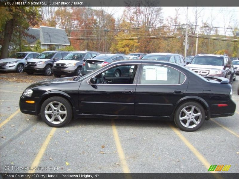  2003 Maxima SE Super Black