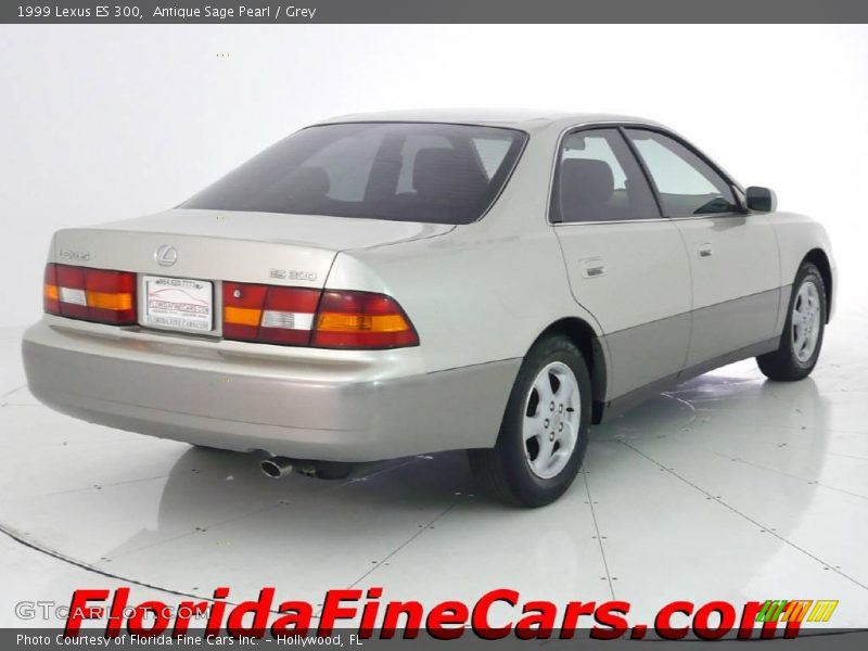 Antique Sage Pearl / Grey 1999 Lexus ES 300