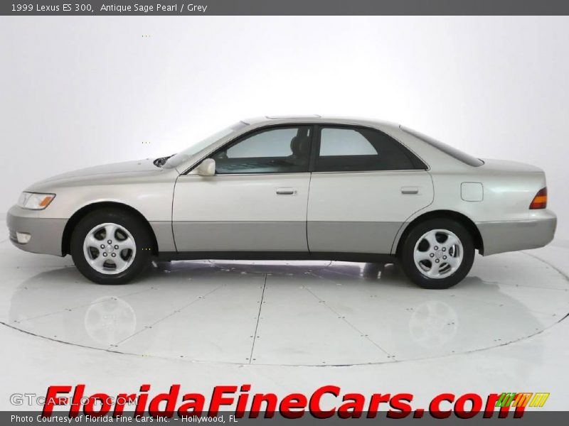 Antique Sage Pearl / Grey 1999 Lexus ES 300