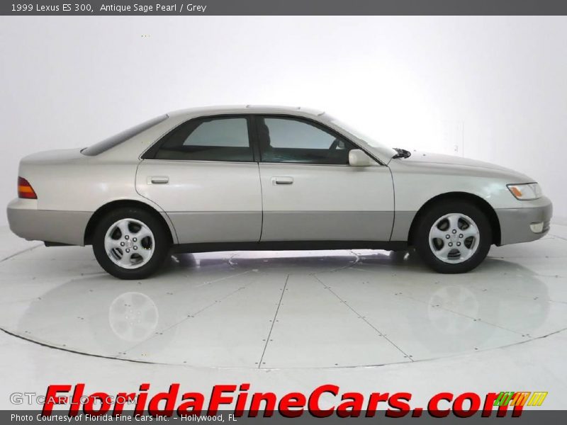 Antique Sage Pearl / Grey 1999 Lexus ES 300