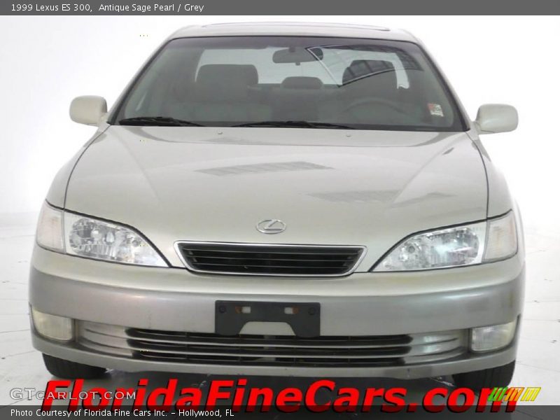 Antique Sage Pearl / Grey 1999 Lexus ES 300