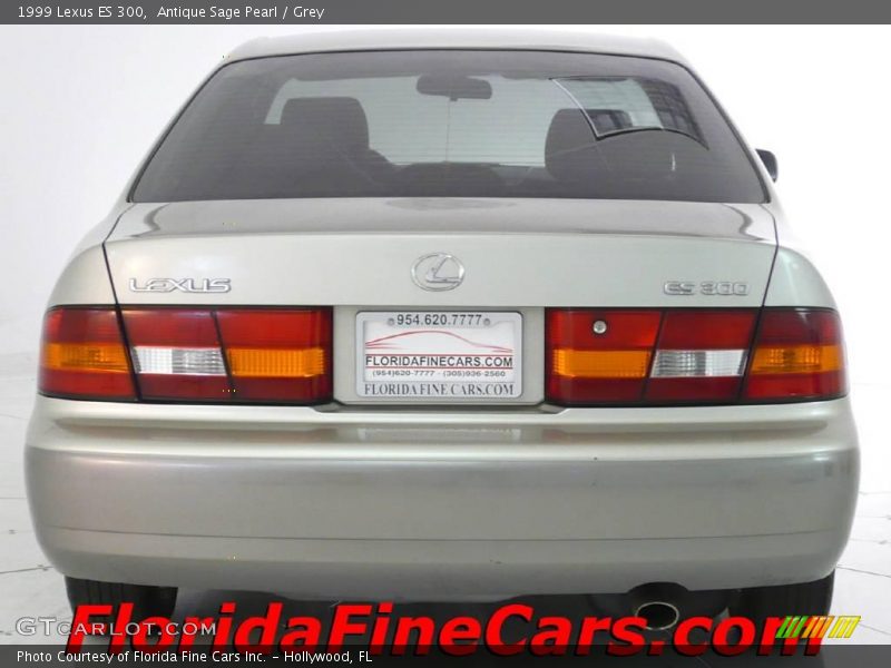 Antique Sage Pearl / Grey 1999 Lexus ES 300