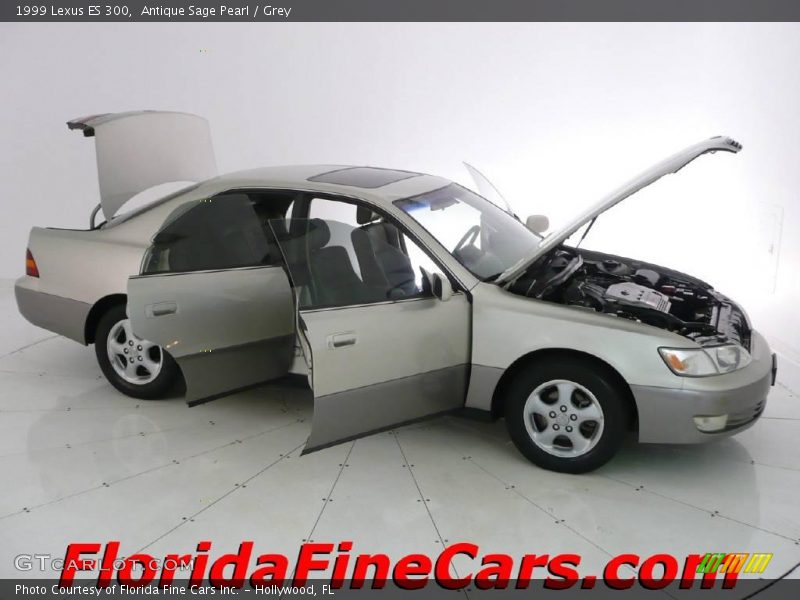 Antique Sage Pearl / Grey 1999 Lexus ES 300