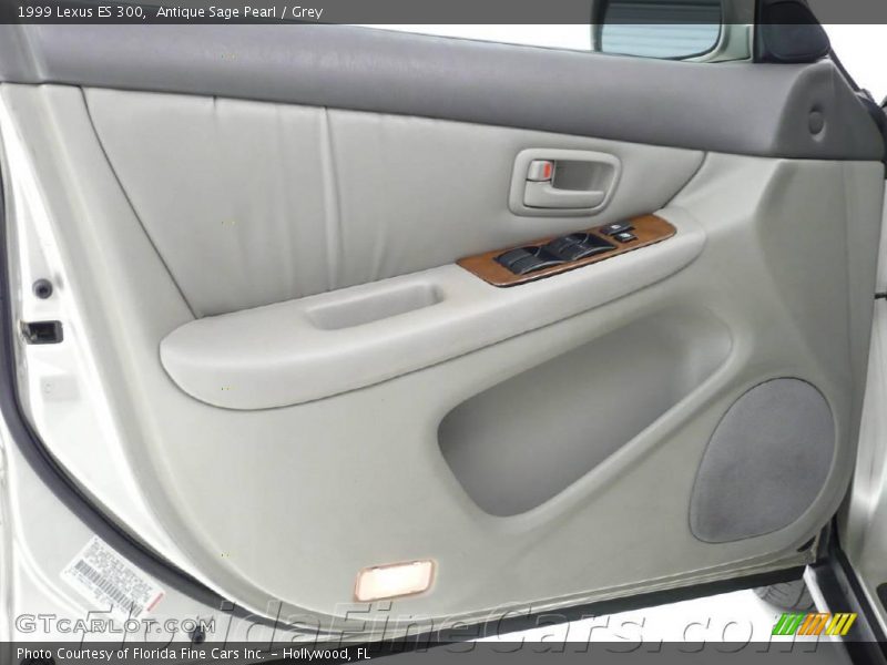 Antique Sage Pearl / Grey 1999 Lexus ES 300