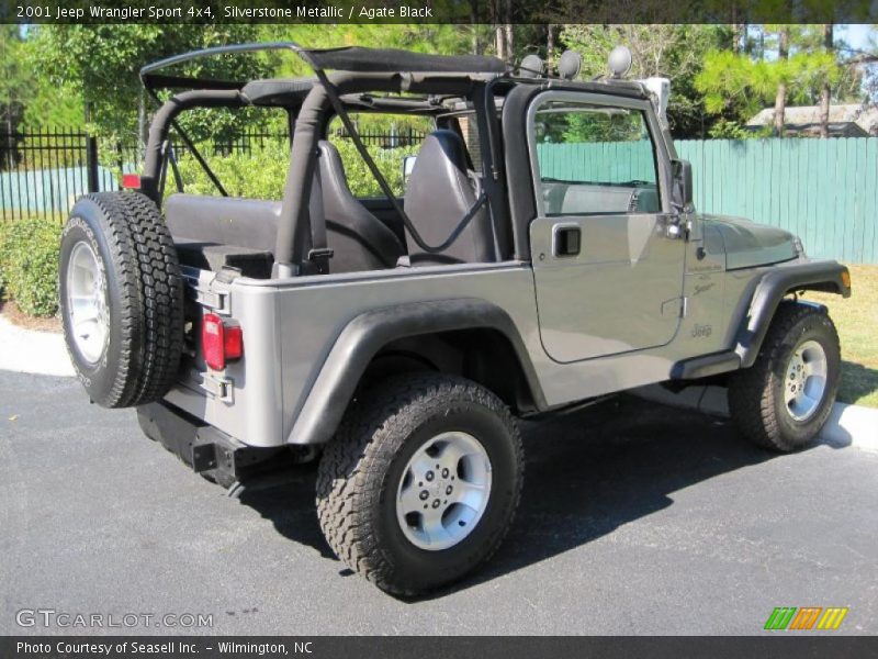 Silverstone Metallic / Agate Black 2001 Jeep Wrangler Sport 4x4