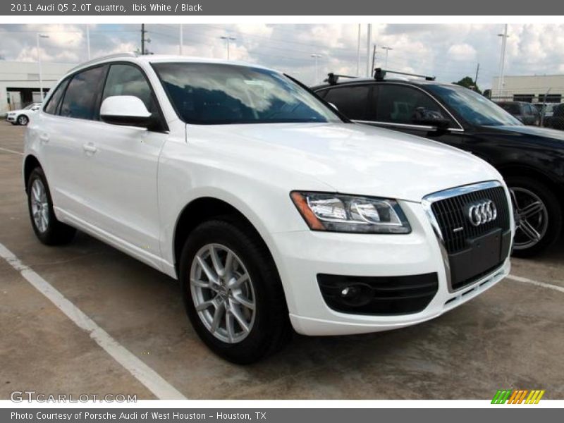 Ibis White / Black 2011 Audi Q5 2.0T quattro