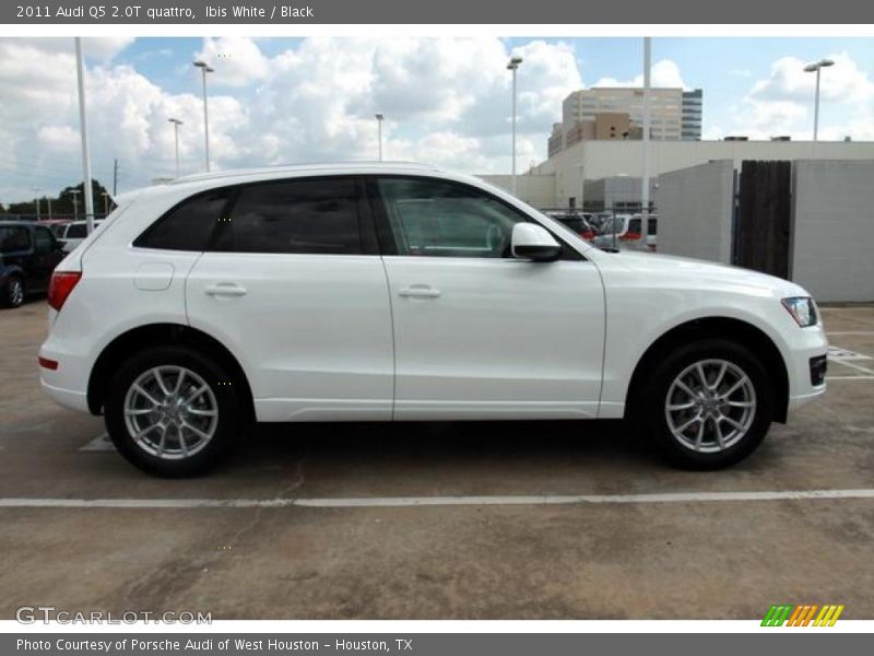 Ibis White / Black 2011 Audi Q5 2.0T quattro