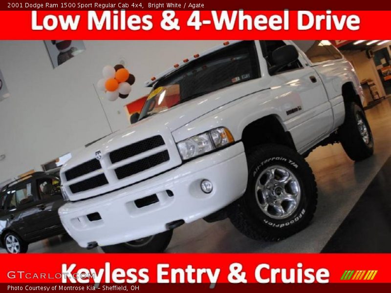 Bright White / Agate 2001 Dodge Ram 1500 Sport Regular Cab 4x4