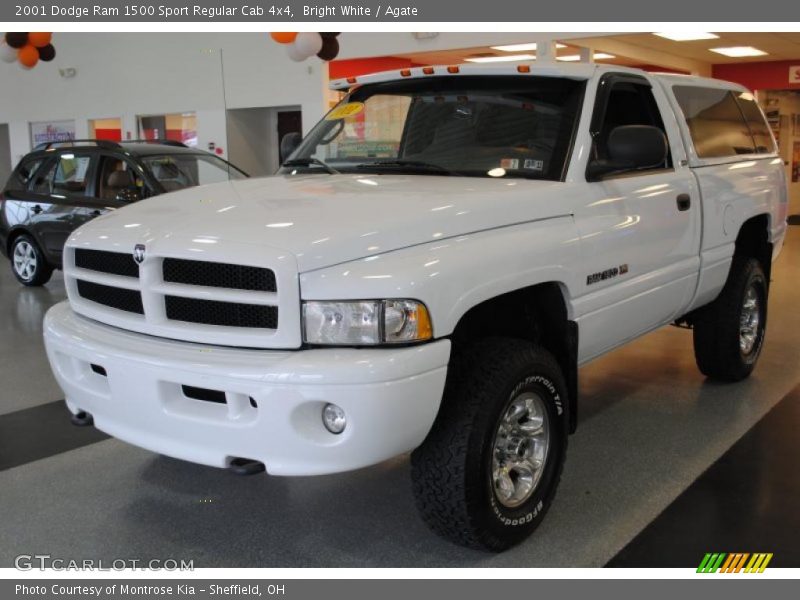 Bright White / Agate 2001 Dodge Ram 1500 Sport Regular Cab 4x4