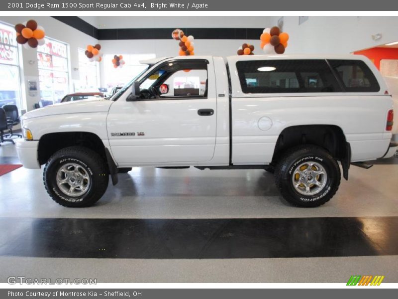 Bright White / Agate 2001 Dodge Ram 1500 Sport Regular Cab 4x4