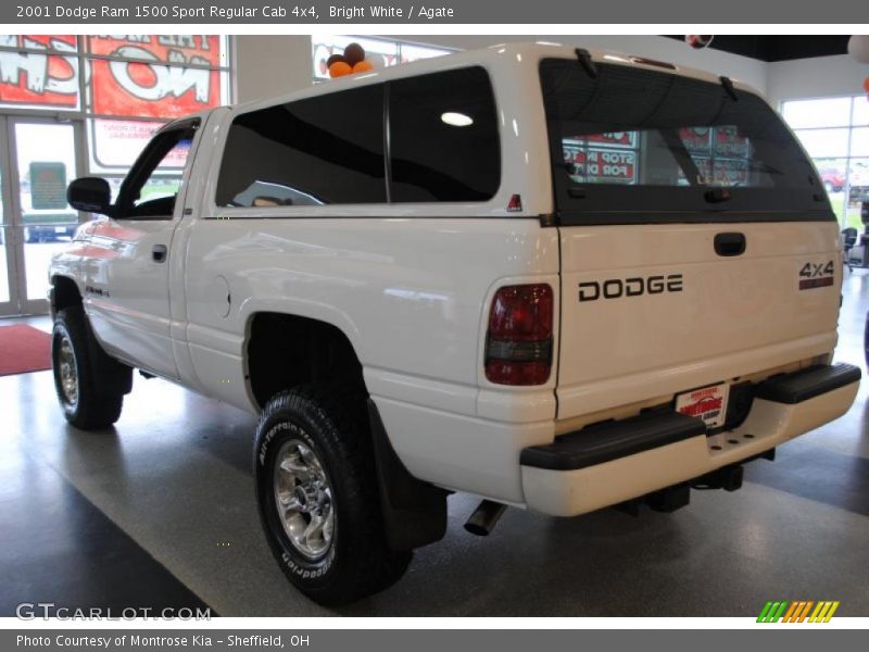 Bright White / Agate 2001 Dodge Ram 1500 Sport Regular Cab 4x4