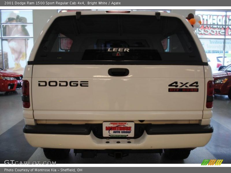 Bright White / Agate 2001 Dodge Ram 1500 Sport Regular Cab 4x4