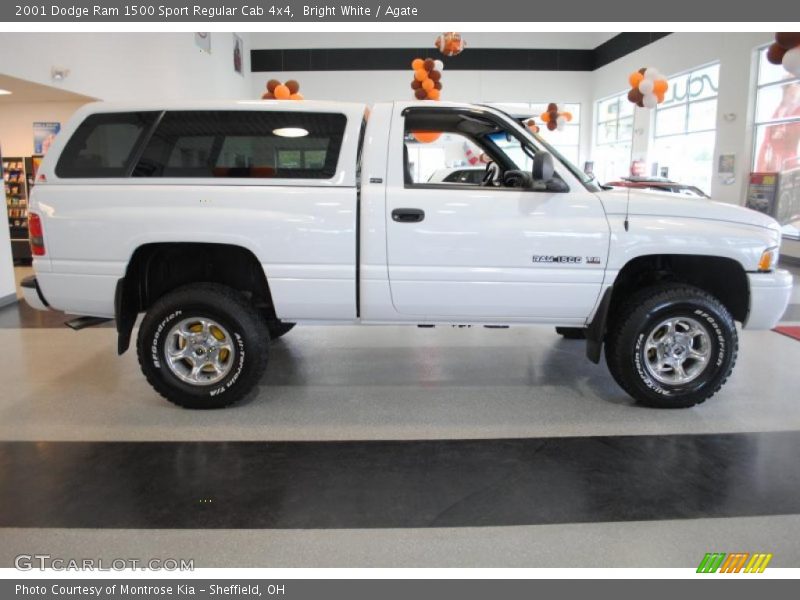 Bright White / Agate 2001 Dodge Ram 1500 Sport Regular Cab 4x4