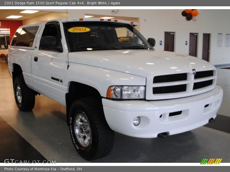 Bright White / Agate 2001 Dodge Ram 1500 Sport Regular Cab 4x4