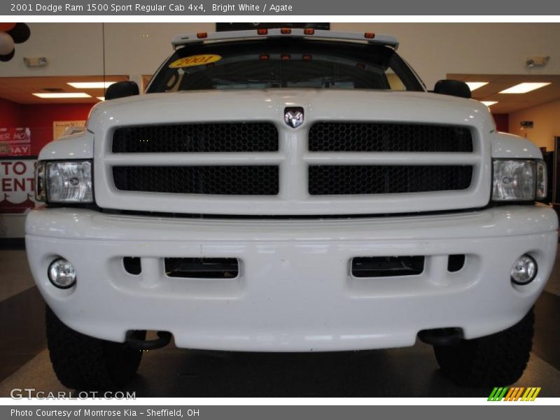 Bright White / Agate 2001 Dodge Ram 1500 Sport Regular Cab 4x4