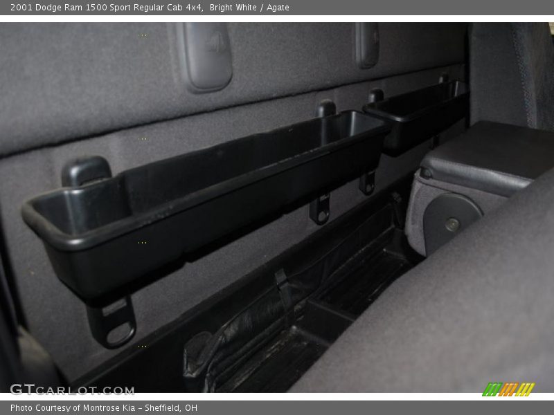 Bright White / Agate 2001 Dodge Ram 1500 Sport Regular Cab 4x4