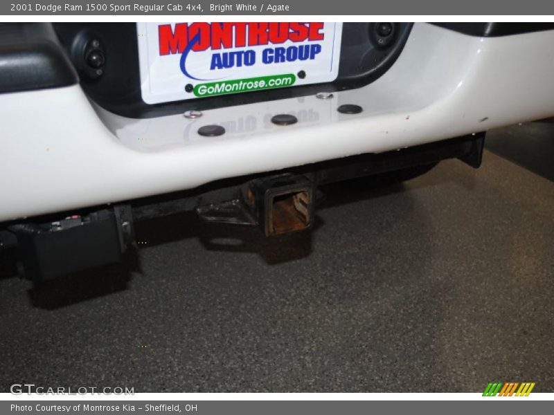 Bright White / Agate 2001 Dodge Ram 1500 Sport Regular Cab 4x4