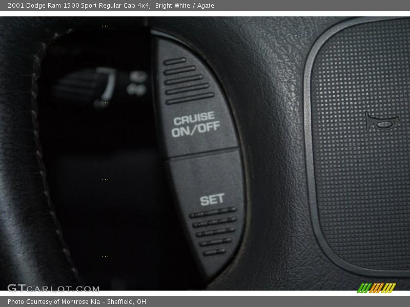 Bright White / Agate 2001 Dodge Ram 1500 Sport Regular Cab 4x4