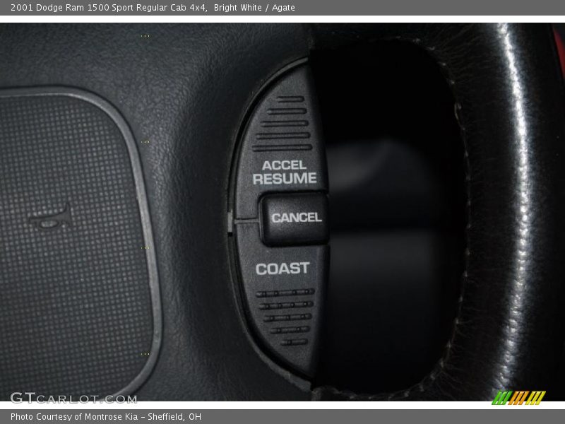 Bright White / Agate 2001 Dodge Ram 1500 Sport Regular Cab 4x4