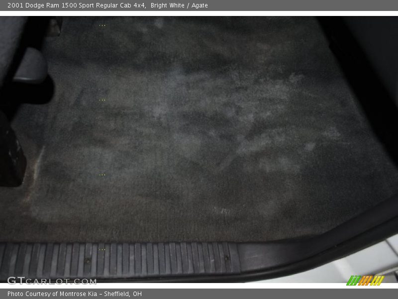 Bright White / Agate 2001 Dodge Ram 1500 Sport Regular Cab 4x4