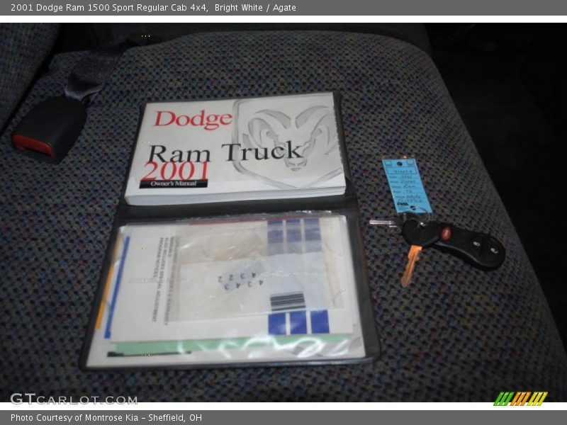 Bright White / Agate 2001 Dodge Ram 1500 Sport Regular Cab 4x4