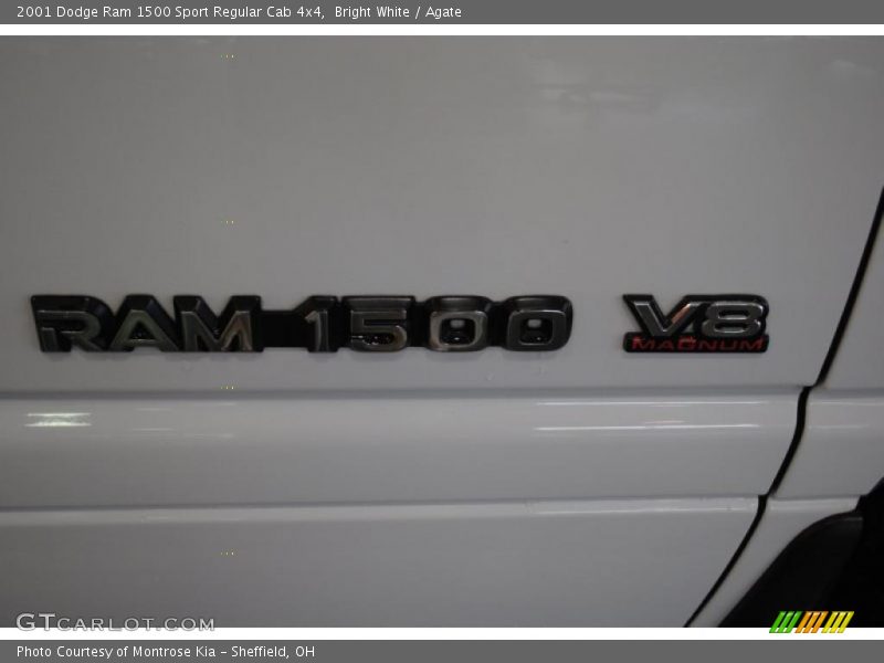 Bright White / Agate 2001 Dodge Ram 1500 Sport Regular Cab 4x4