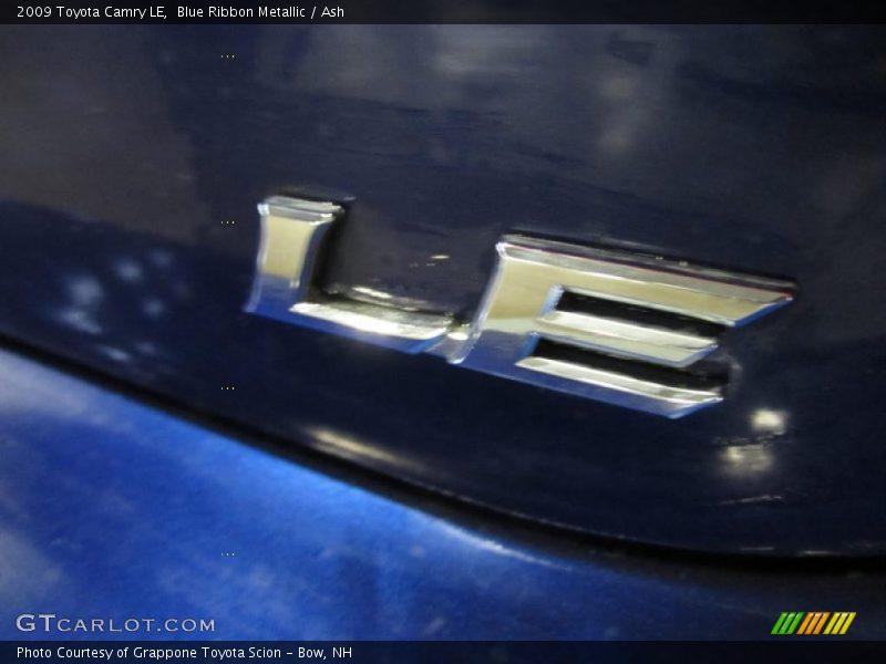 Blue Ribbon Metallic / Ash 2009 Toyota Camry LE