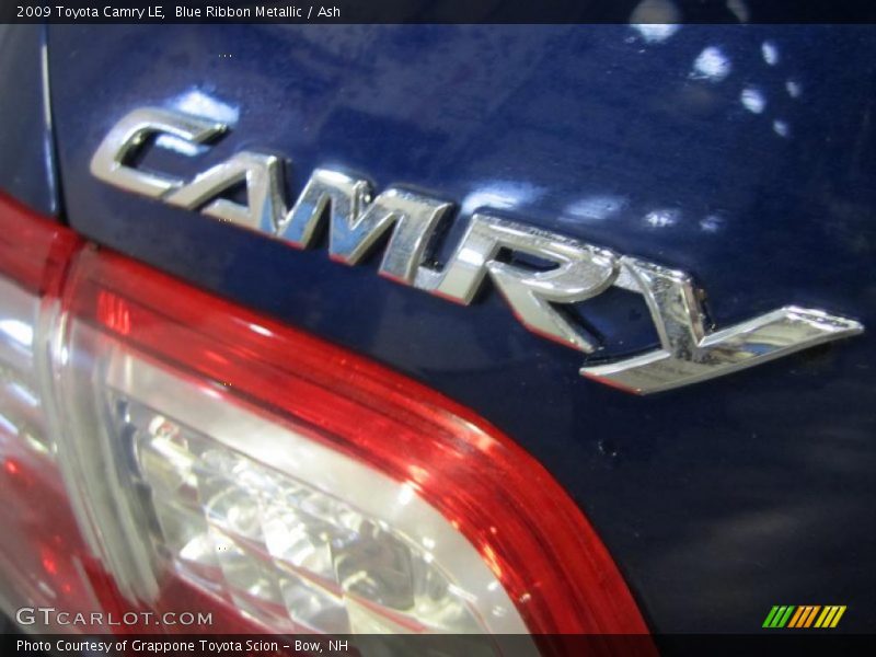 Blue Ribbon Metallic / Ash 2009 Toyota Camry LE