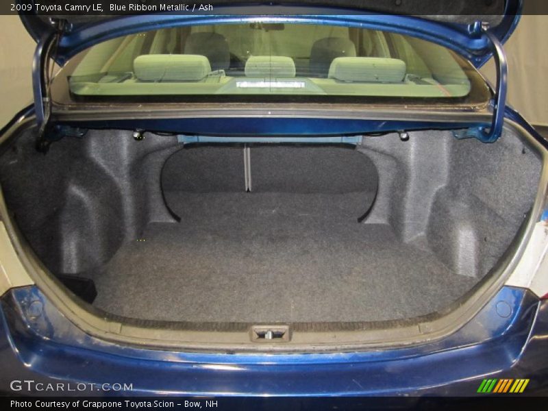Blue Ribbon Metallic / Ash 2009 Toyota Camry LE