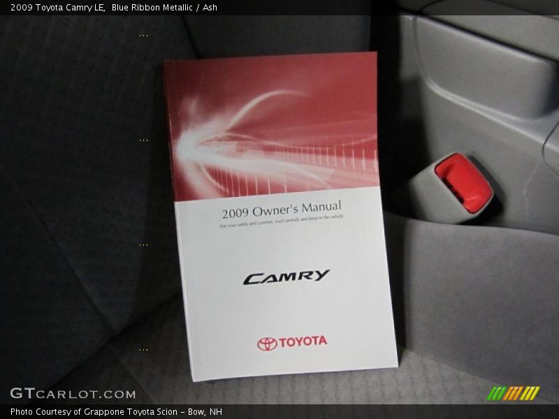 Blue Ribbon Metallic / Ash 2009 Toyota Camry LE