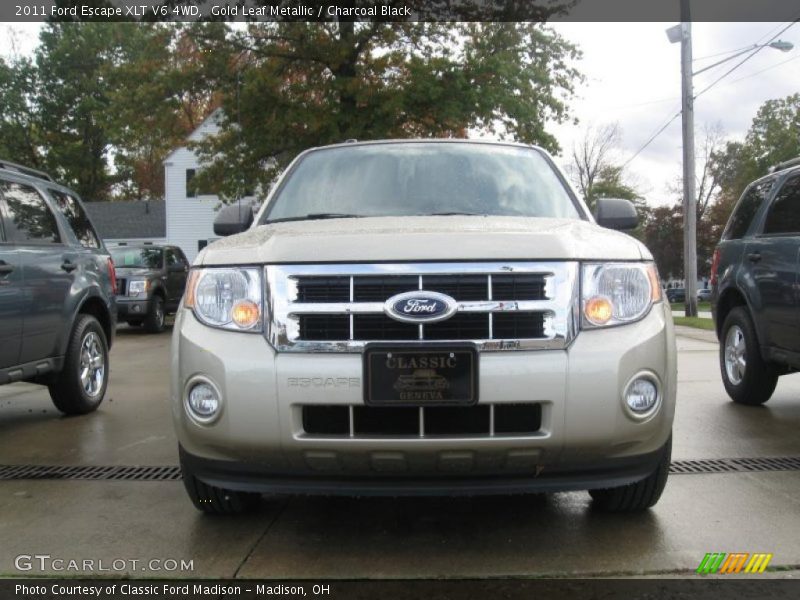 Gold Leaf Metallic / Charcoal Black 2011 Ford Escape XLT V6 4WD